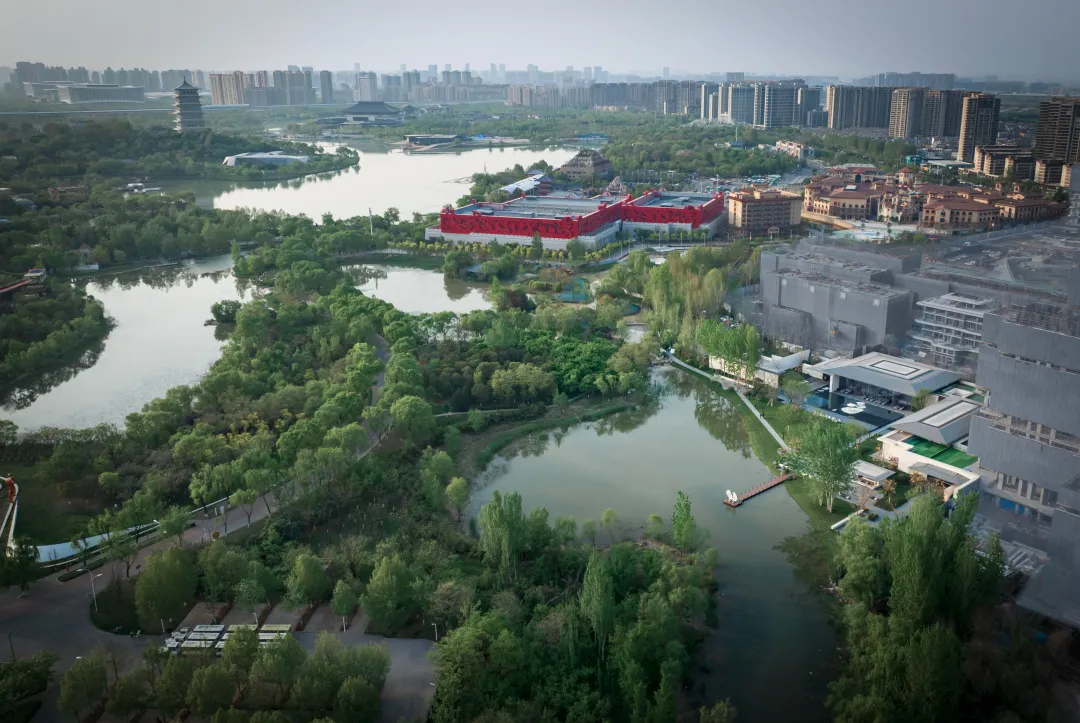 1736906911267728.jpg 1736906899337.jpg