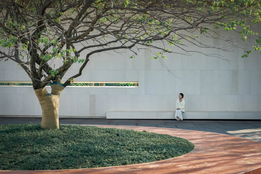 1736907018374564.jpg 1736906999581.jpg