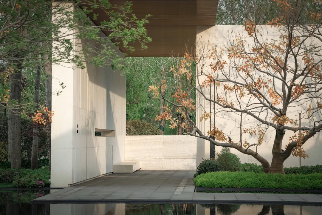 1736907023362361.jpg 1736907001717.jpg