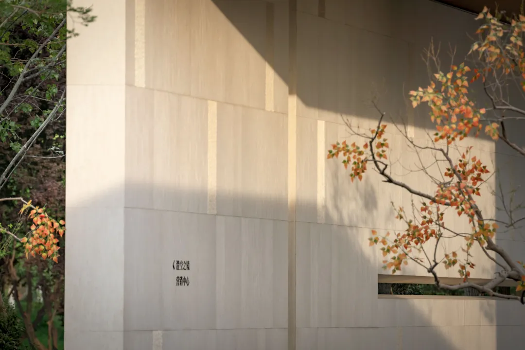 1736907029228278.jpg 1736907004074.jpg