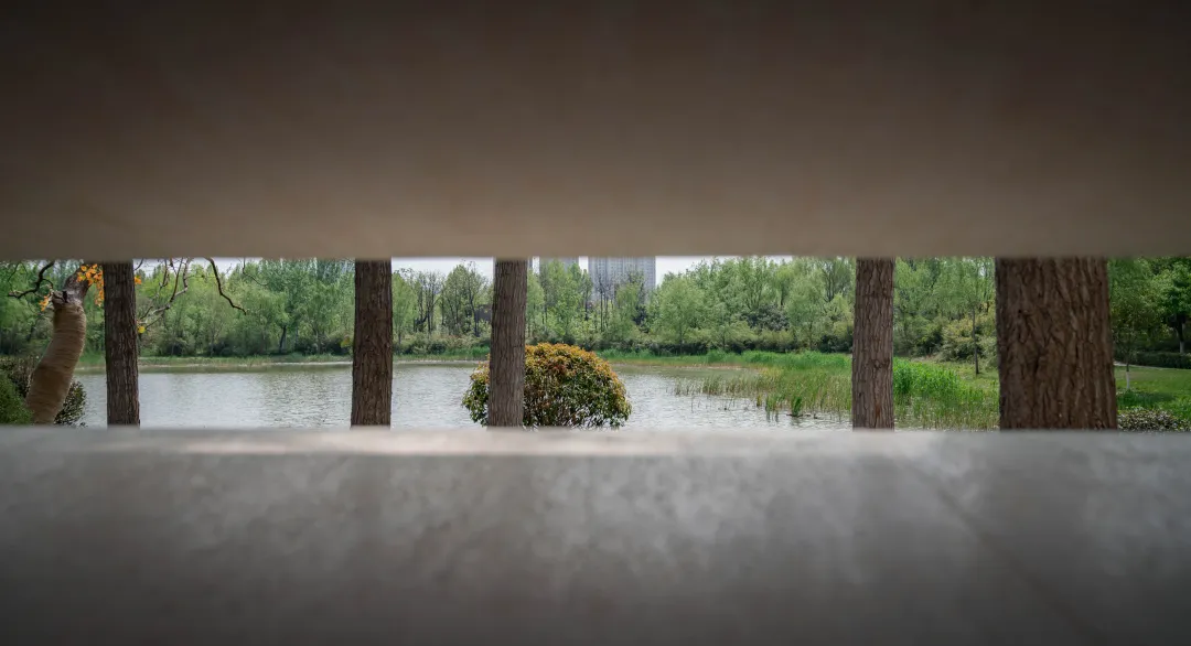 1736907033998316.jpg 1736907008408.jpg