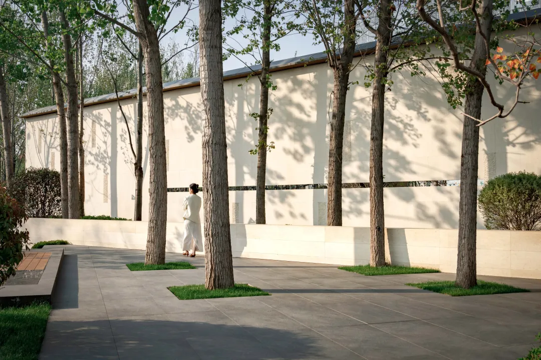 1736907042182466.jpg 1736907010468.jpg