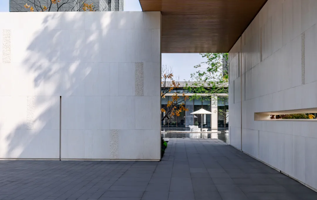 1736907069639523.jpg 1736907052075.jpg