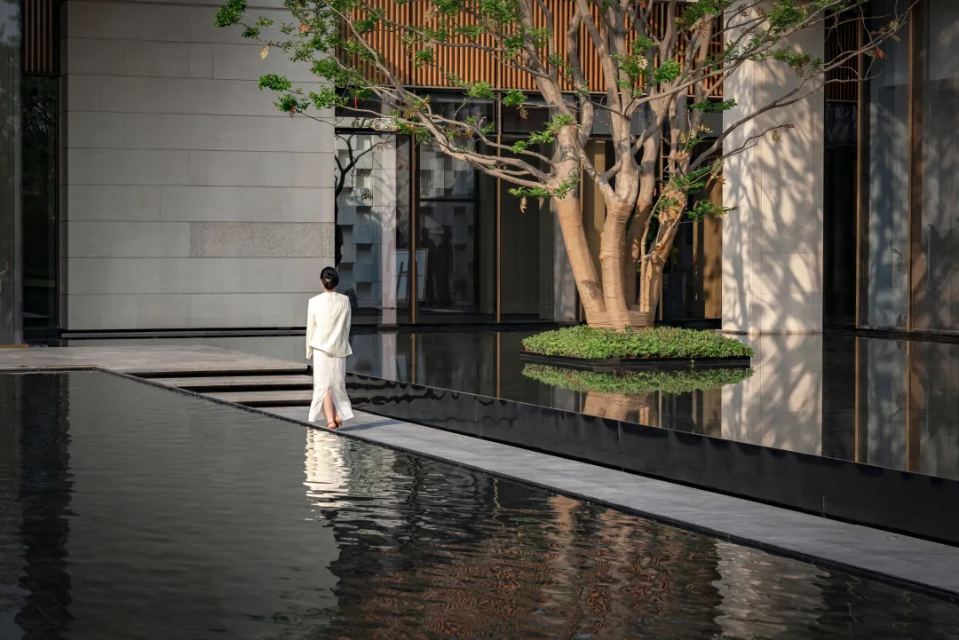 1736907082183368.jpg 1736907061049.jpg