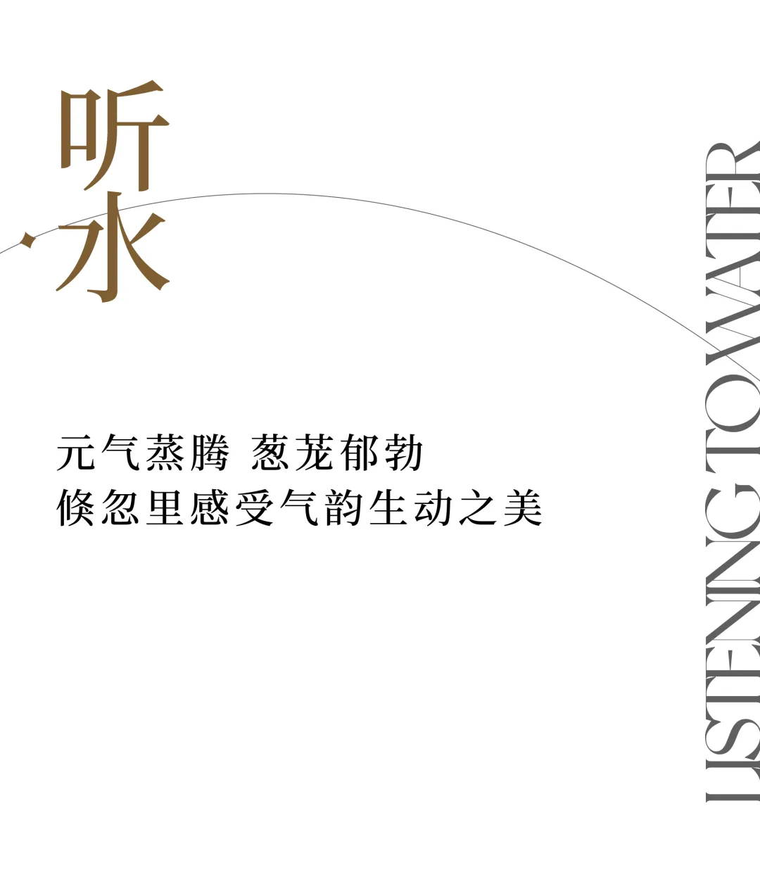 1736907086639937.jpg 1736907063116.jpg