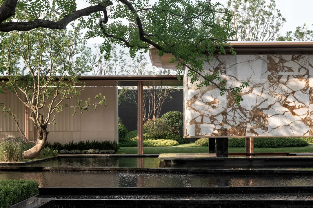 1736907142395090.jpg 1736907121676.jpg