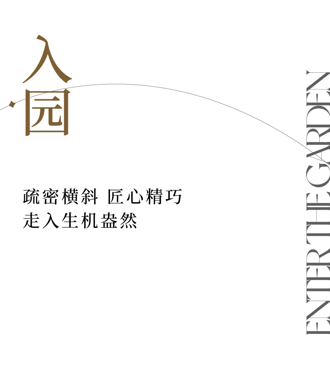 1736907243120863.jpg 1736907222507.jpg