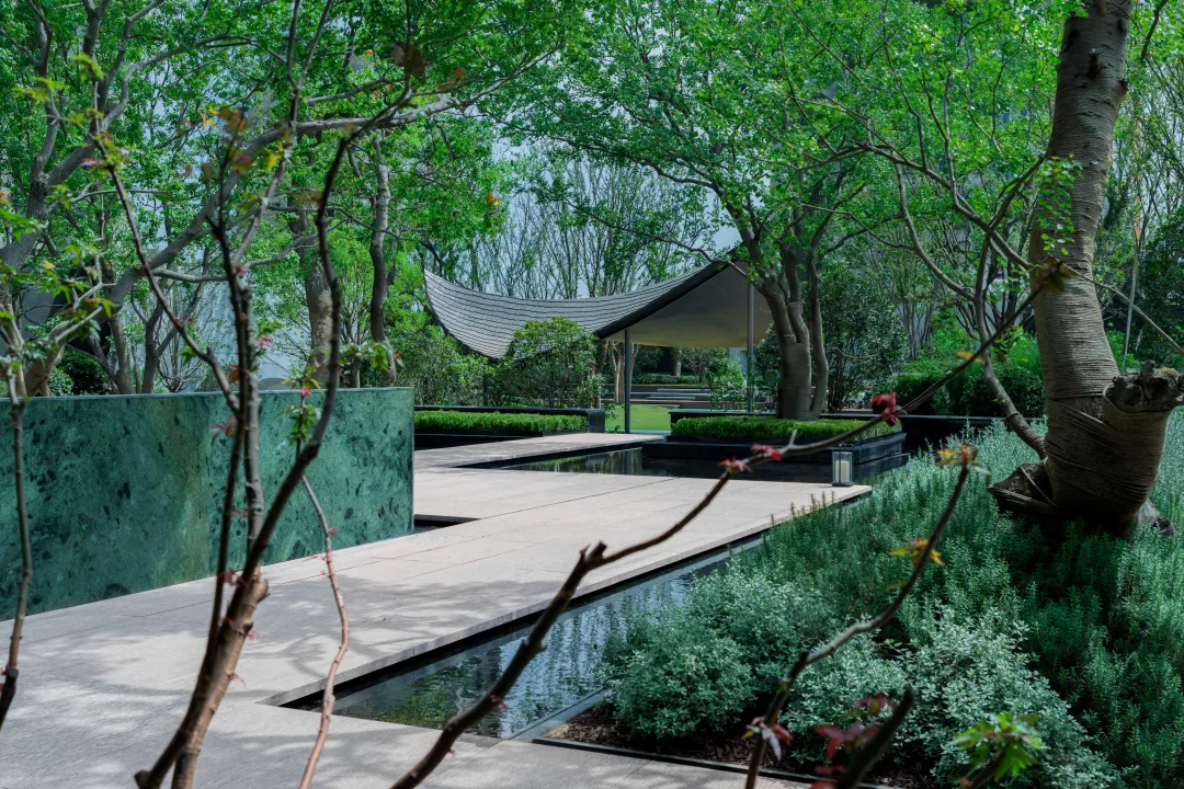 1736907321118715.jpg 1736907295978.jpg