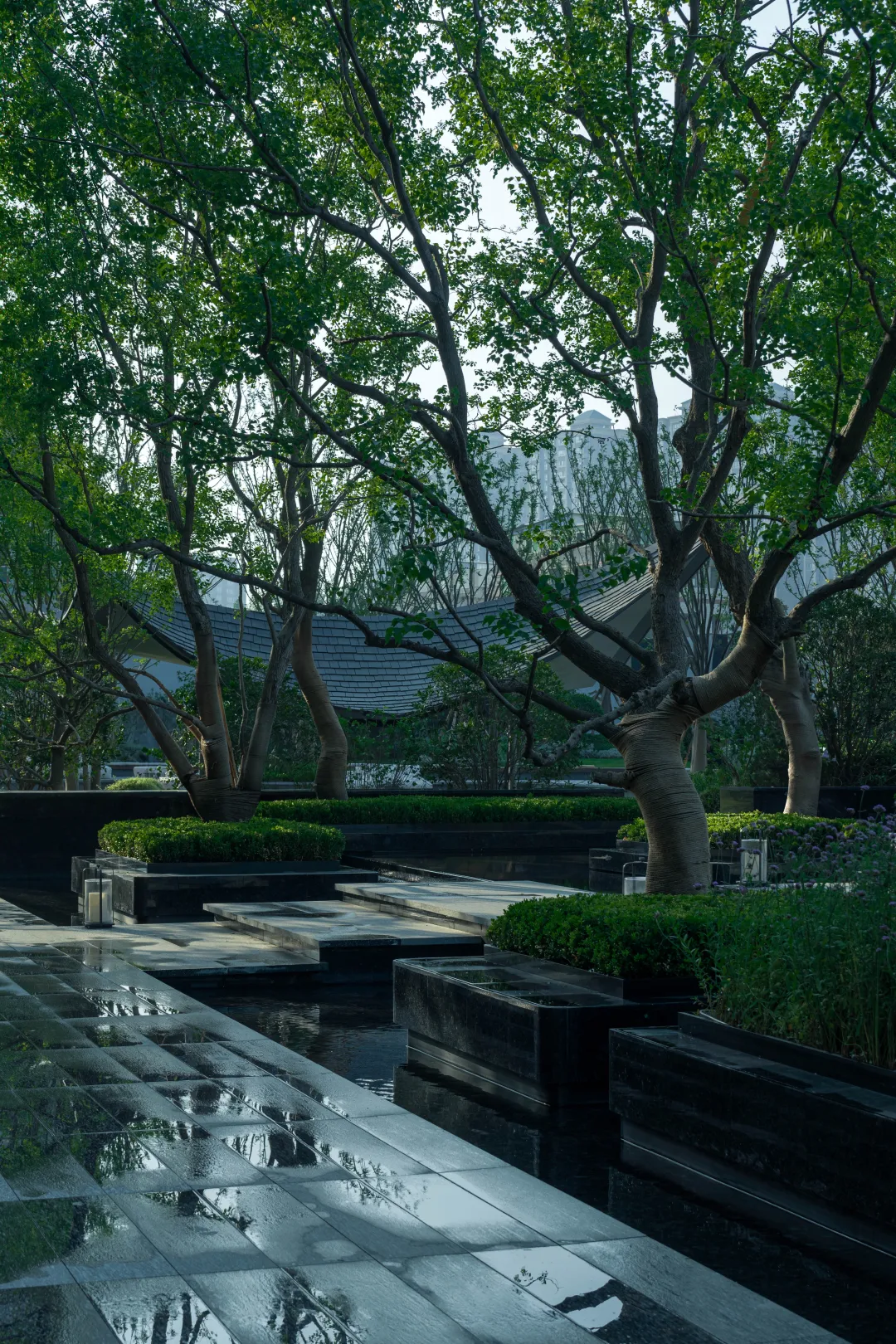 1736907331185260.jpg 1736907302653.jpg