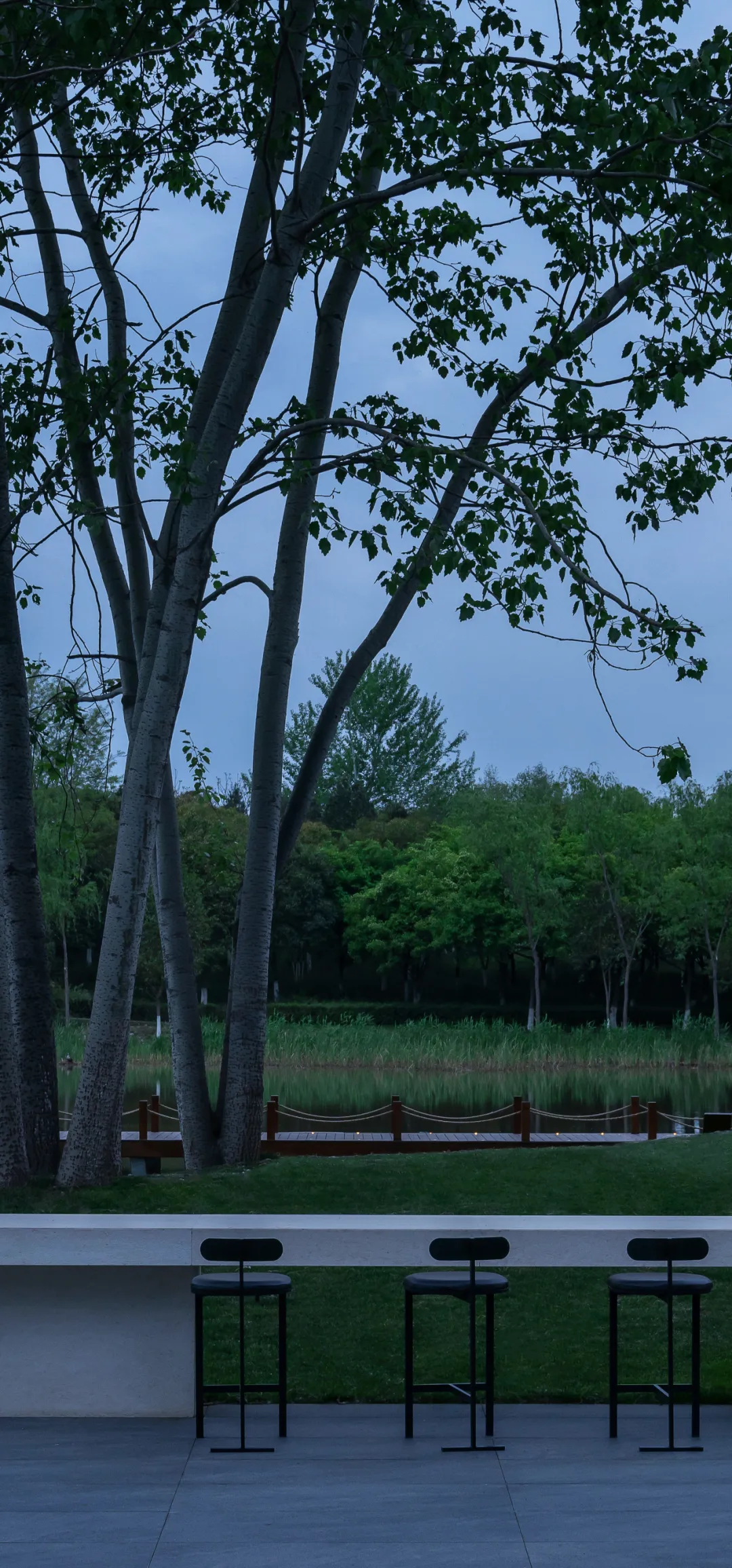 1736907446119361.jpg 1736907430142.jpg