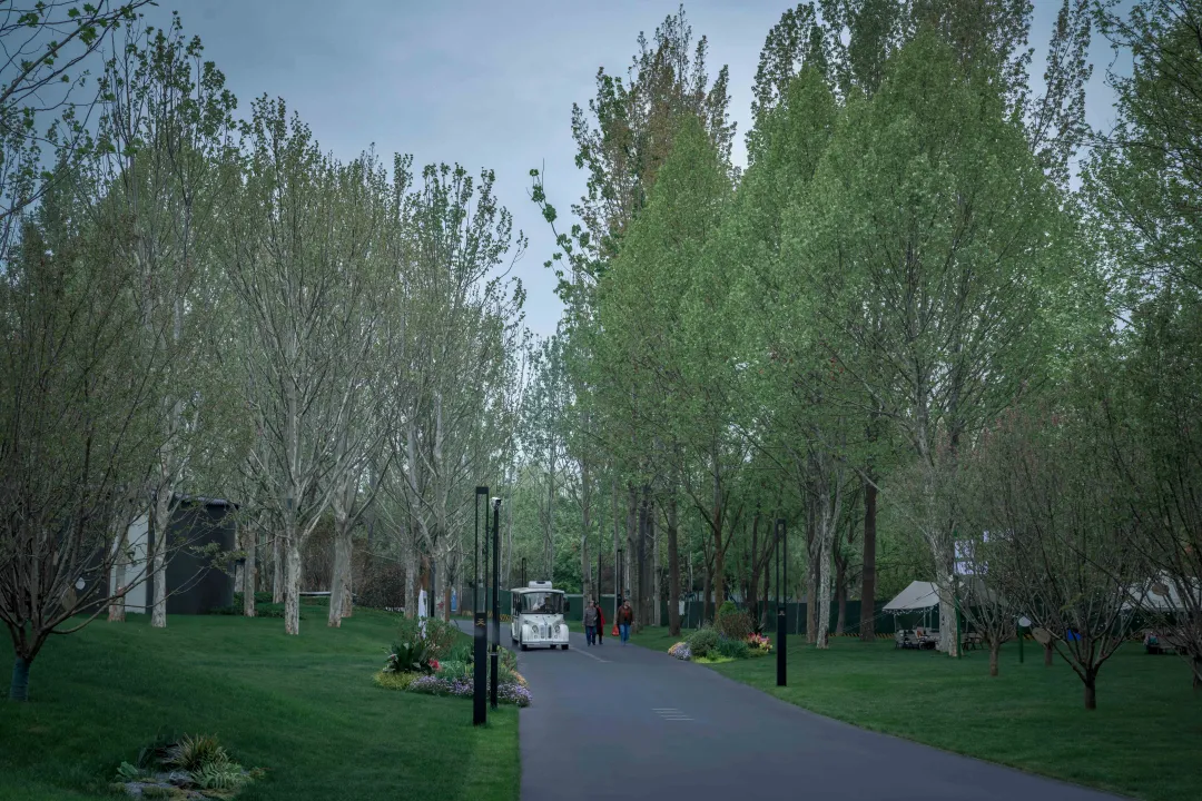 1736907479163155.jpg 1736907458928.jpg