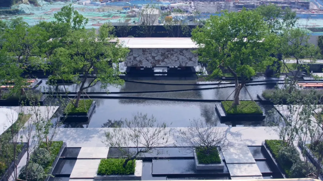 1736907509179274.jpg 1736907499319.jpg