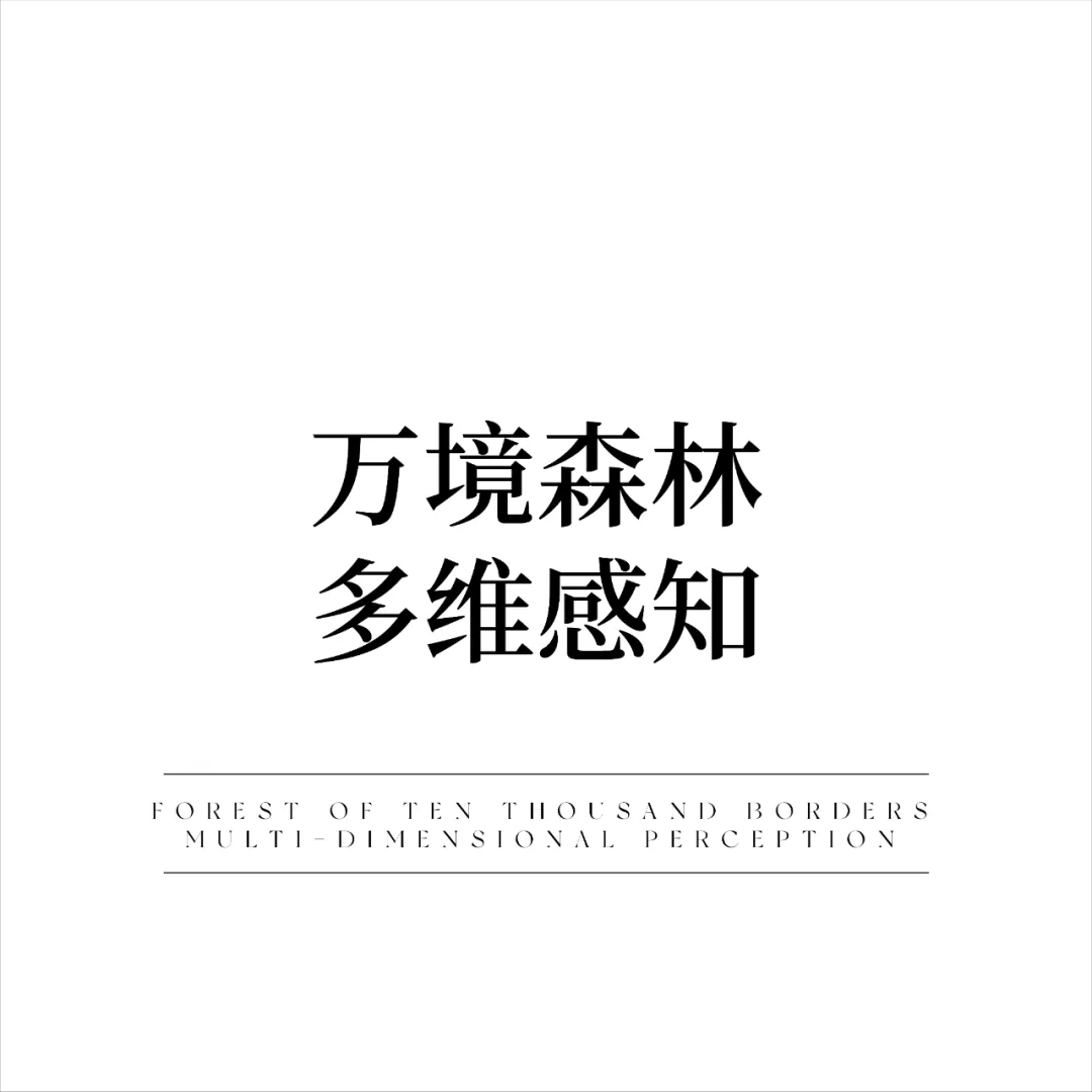 1736933048263250.jpg 1736933041977.jpg