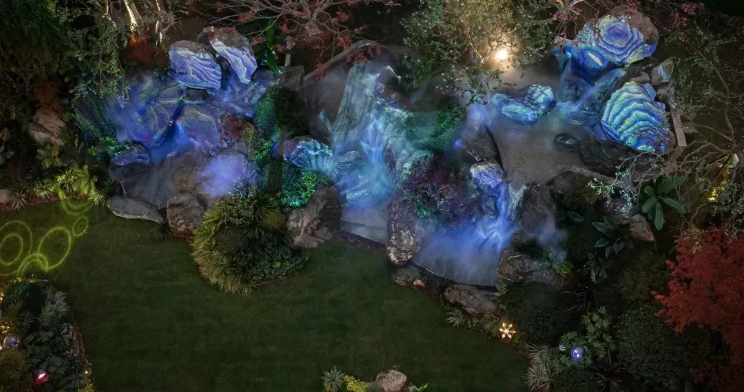 1736933075176012.jpg 1736933063980.jpg