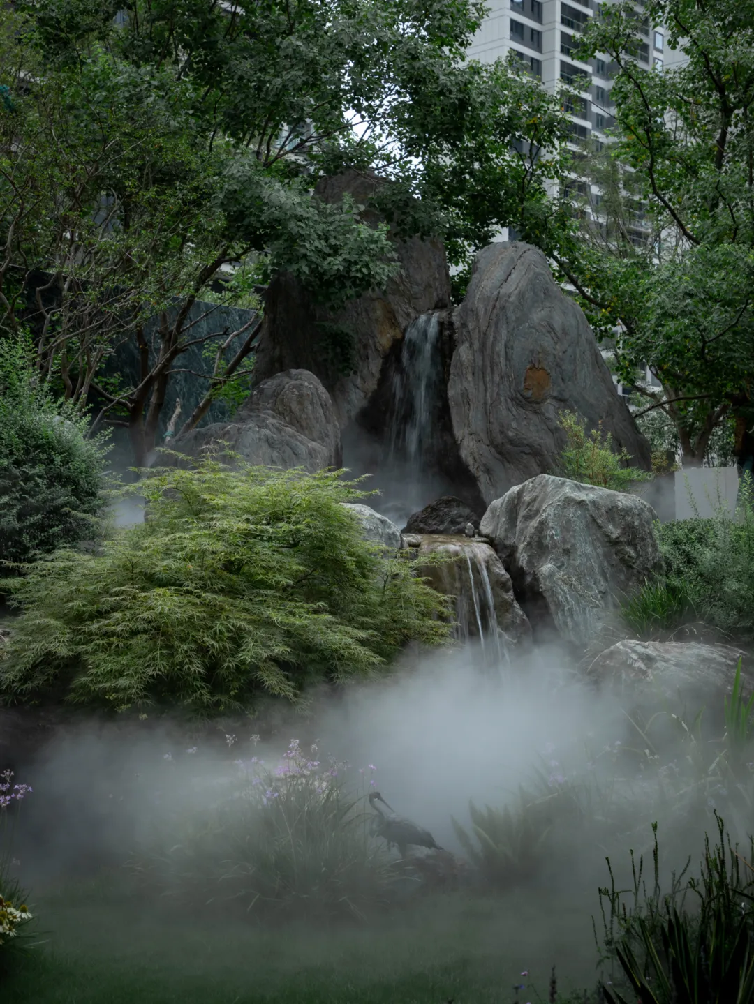 1736933197163957.jpg 1736933180959.jpg