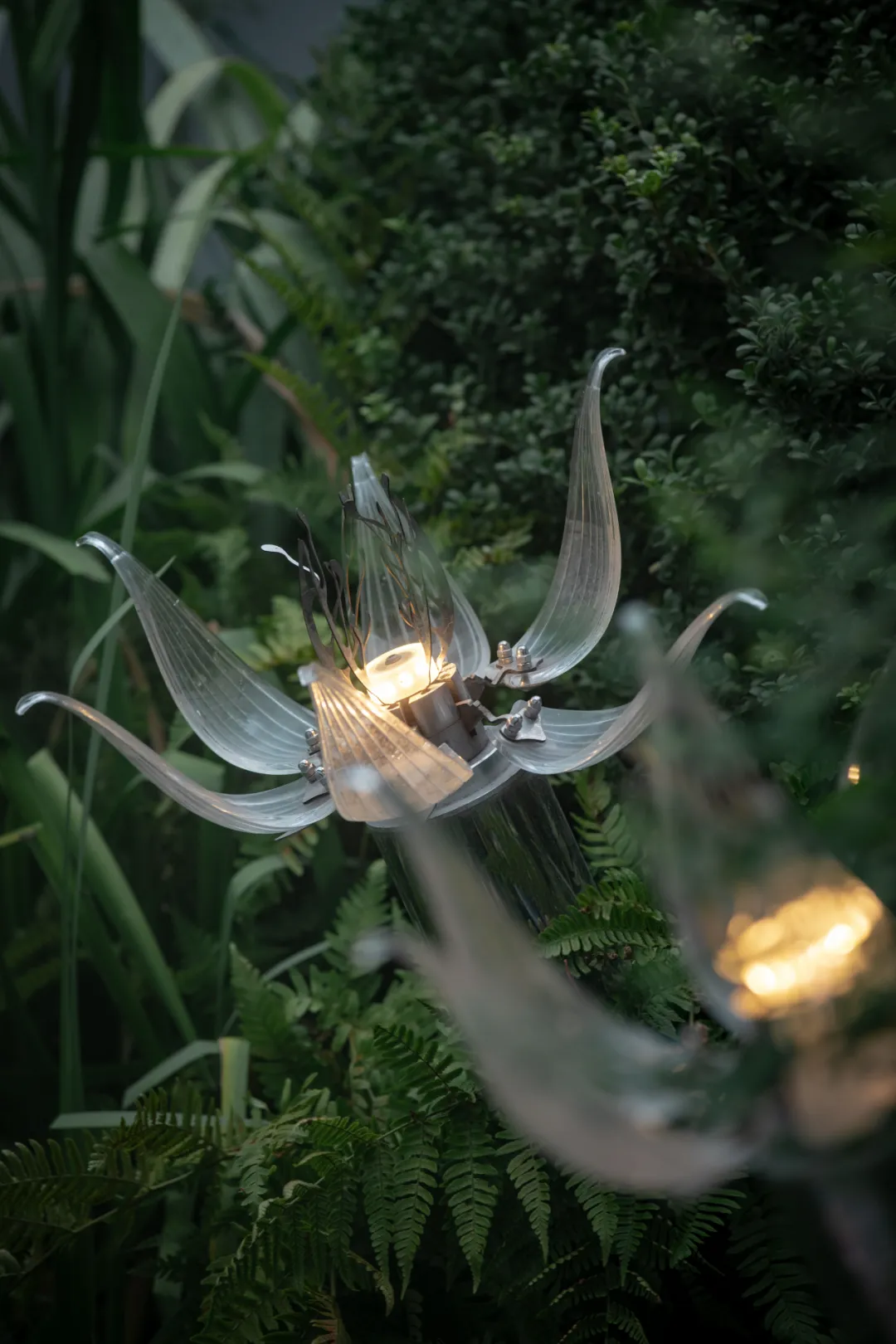 1736933204141130.jpg 1736933188658.jpg