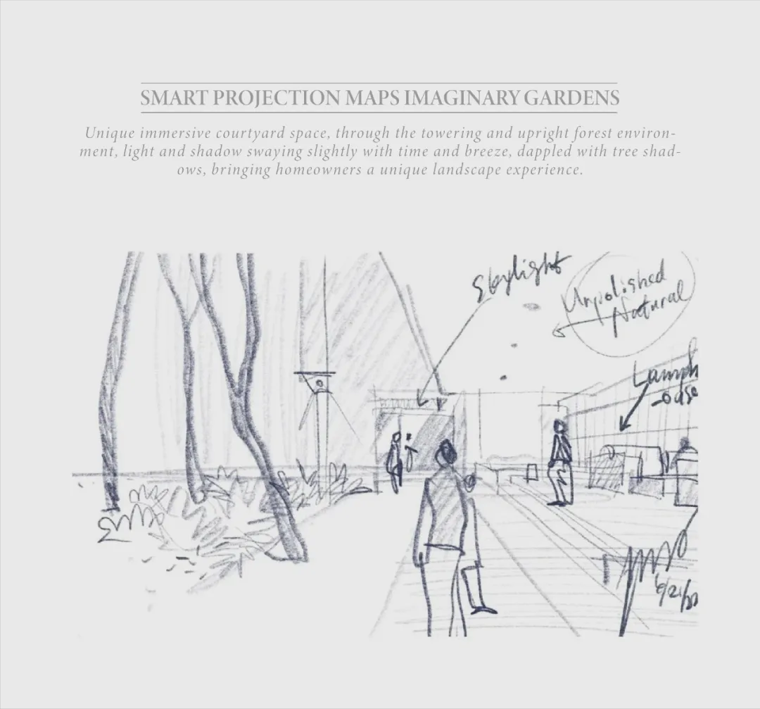 1736933273176220.jpg 1736933250704.jpg