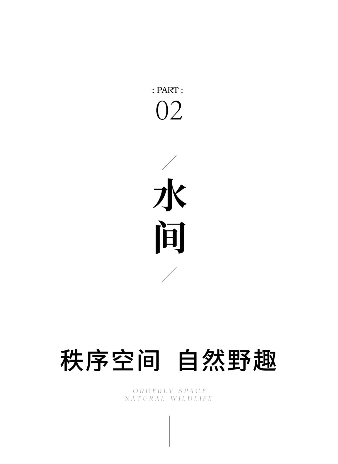 1736933276704159.jpg 1736933254774.jpg