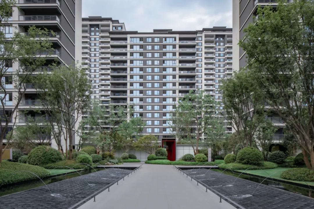 1736933297179787.jpg 1736933285738.jpg