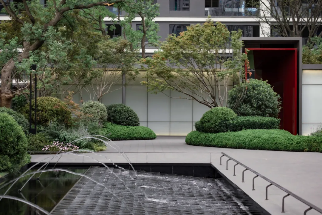 1736933300144371.jpg 1736933287853.jpg