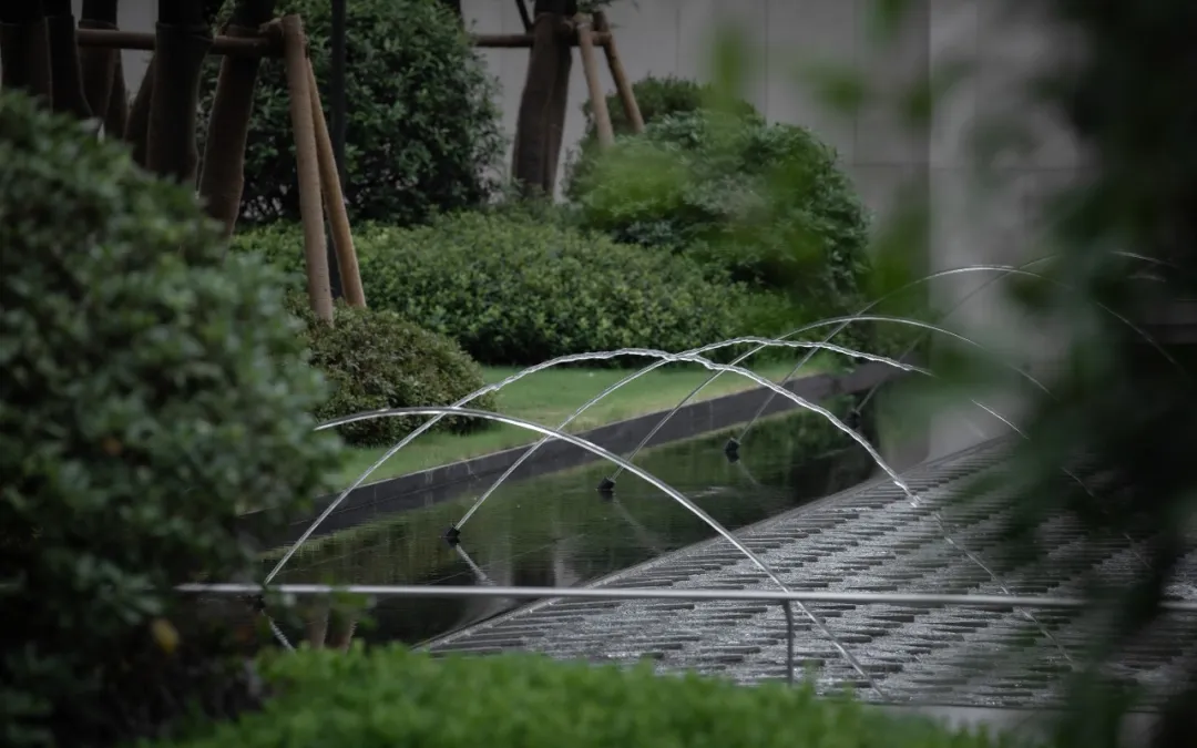 1736933303143904.jpg 1736933291873.jpg