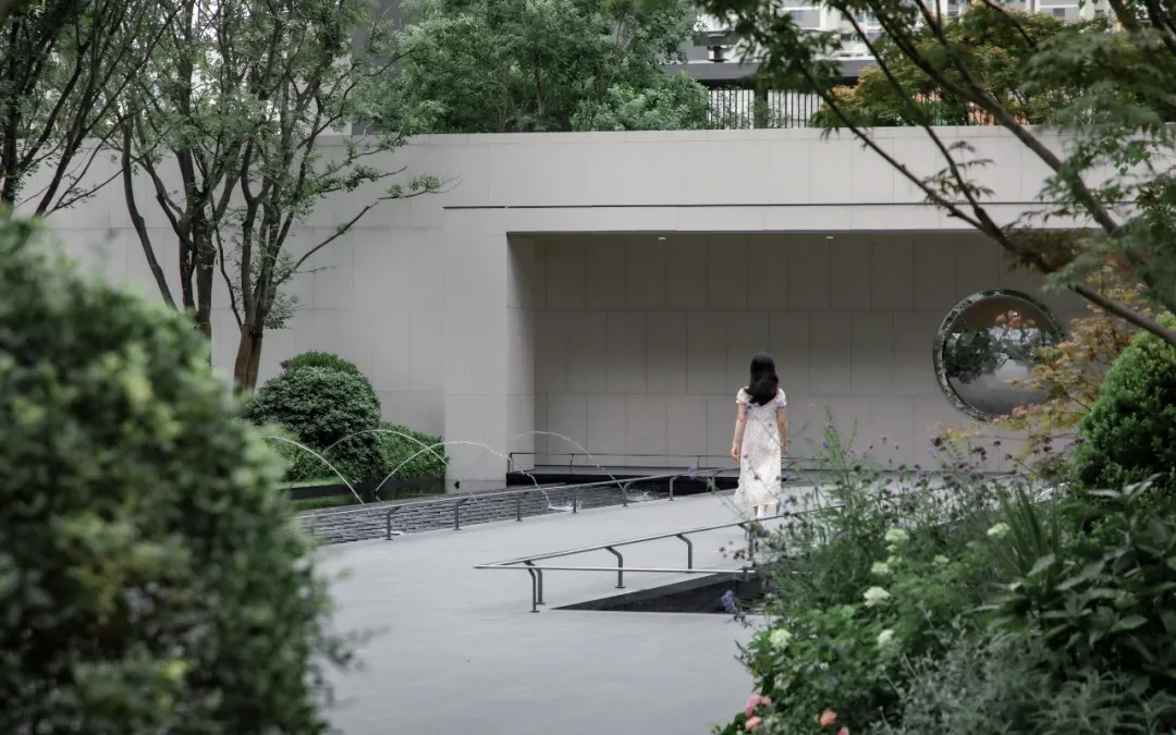 1736933330378406.jpg 1736933309746.jpg