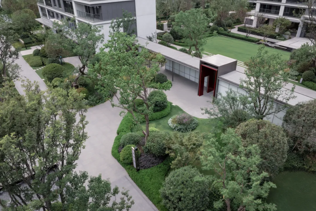 1736933343461849.jpg 1736933319639.jpg