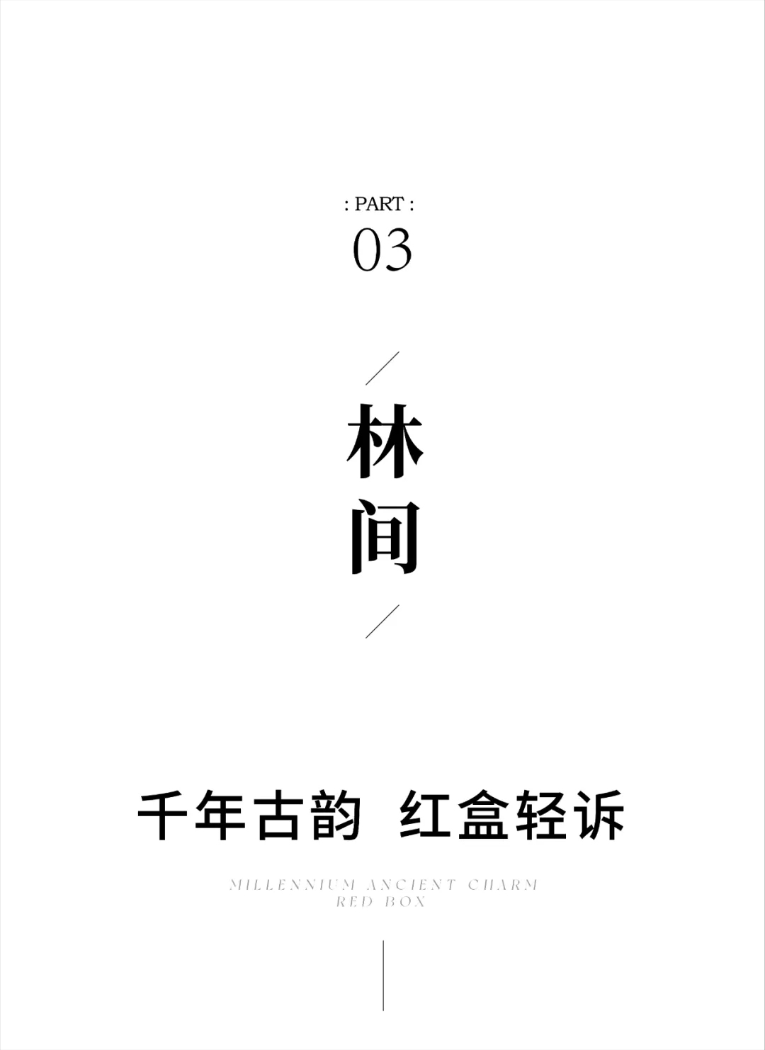 1736933346195491.jpg 1736933322568.jpg