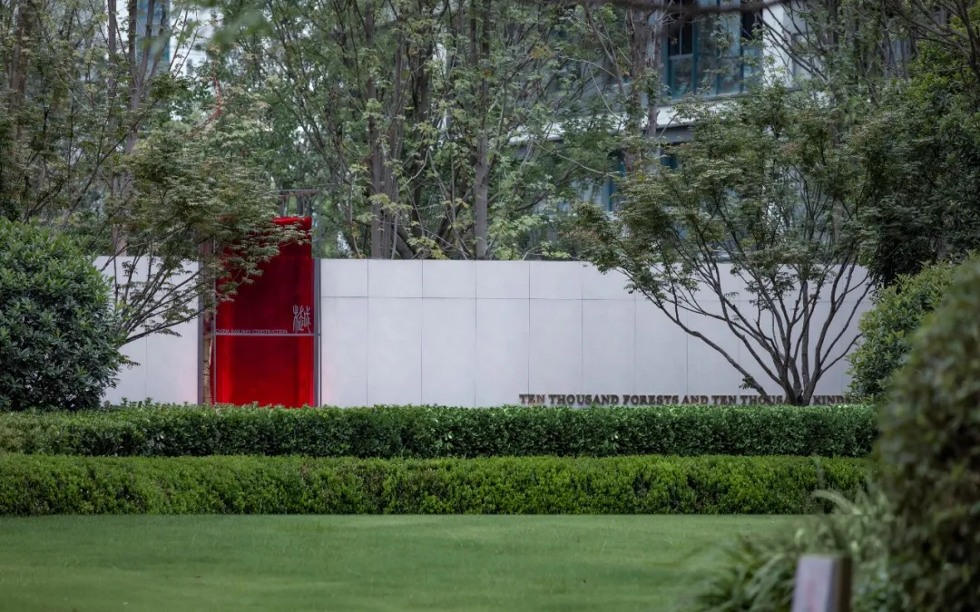 1736933392403816.jpg 1736933371394.jpg