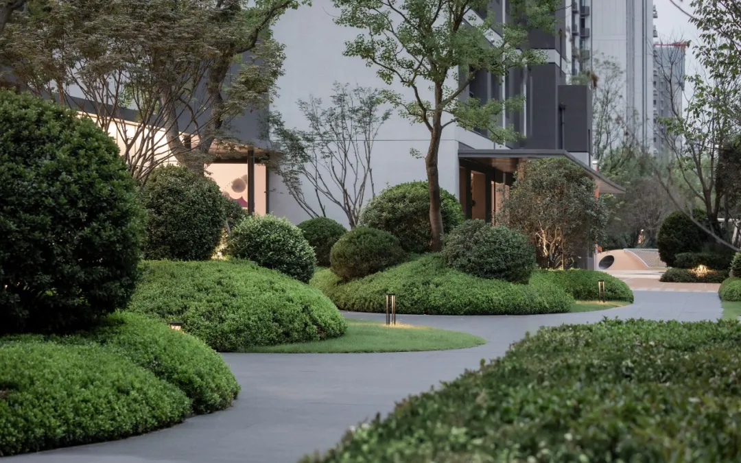 1736933400628925.jpg 1736933377235.jpg