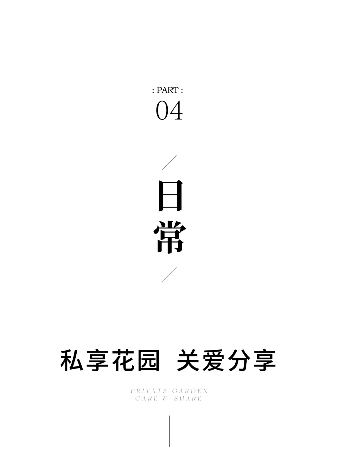 1736933685902059.jpg 1736933380999.jpg