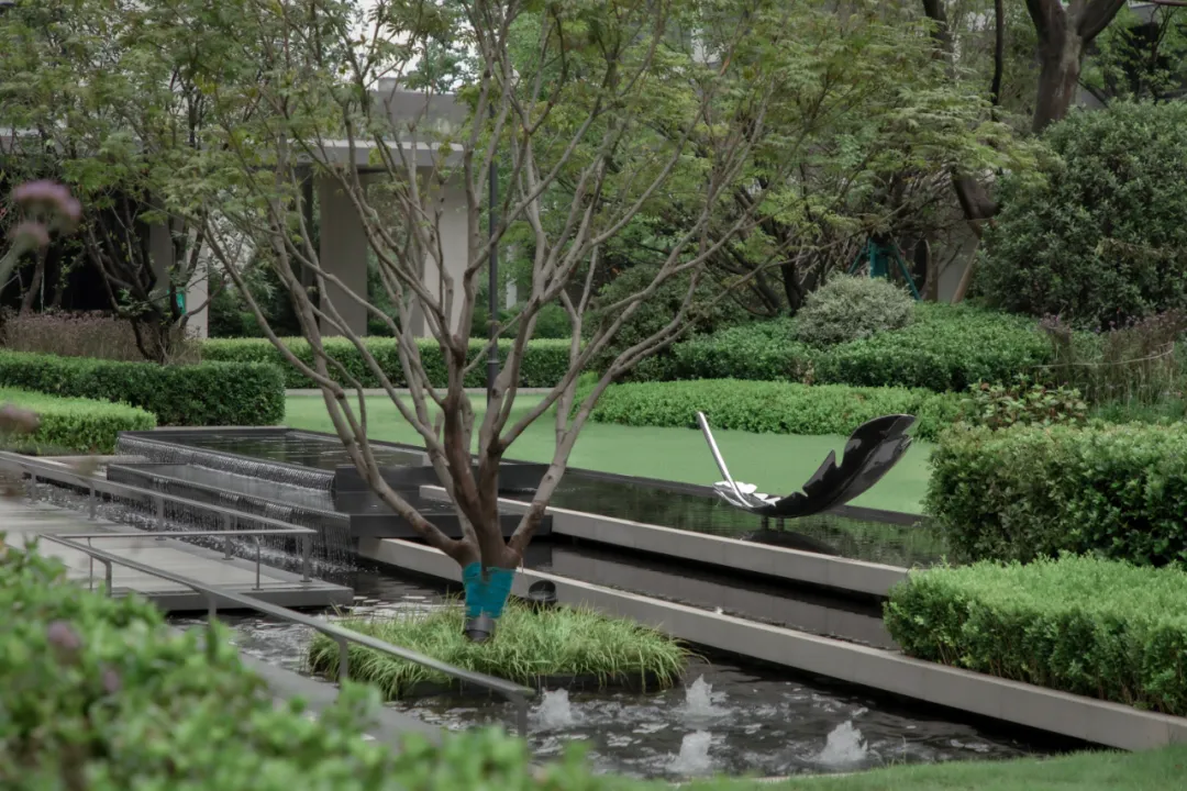 1736933812186466.jpg 1736933776241.jpg