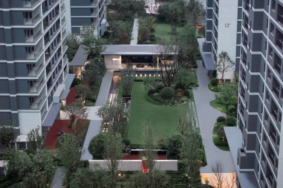 1736933844647402.jpg 1736933830625.jpg