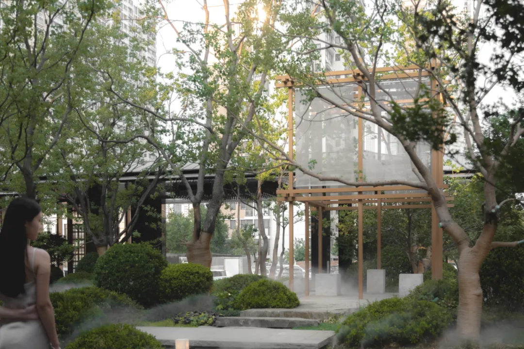 1737084161152764.jpg 1737084141962.jpg