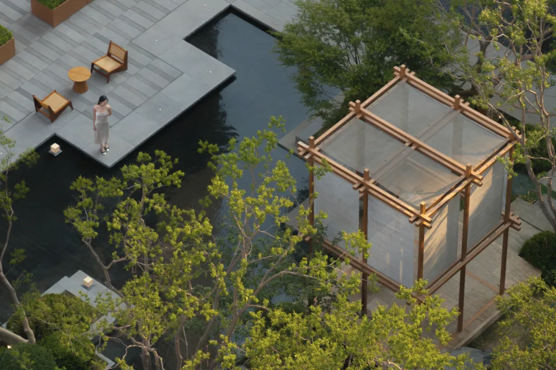 1737084363890285.jpg 1737084343315.jpg