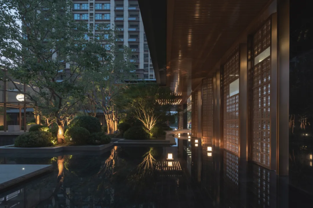 1737084433128389.jpg 1737084419292.jpg