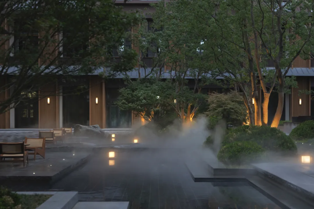 1737084437103265.jpg 1737084421495.jpg