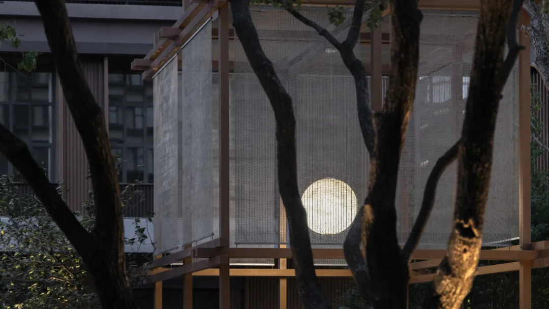 1737084471421946.jpg 1737084458743.jpg