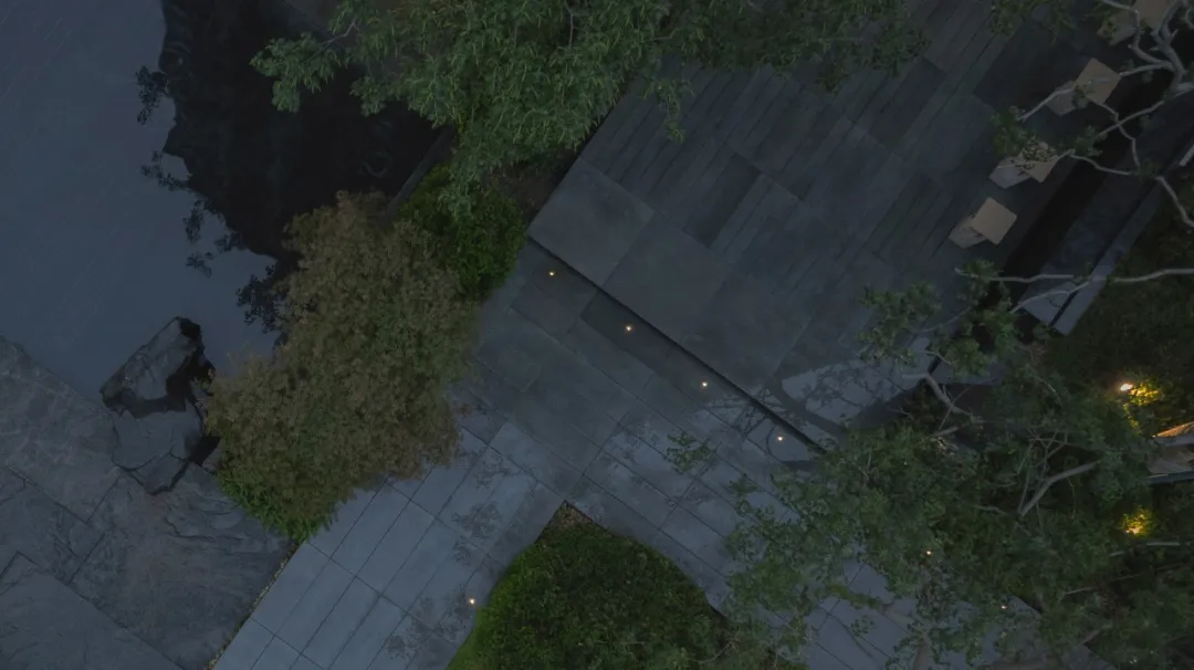 1737084507199541.jpg 1737084488620.jpg