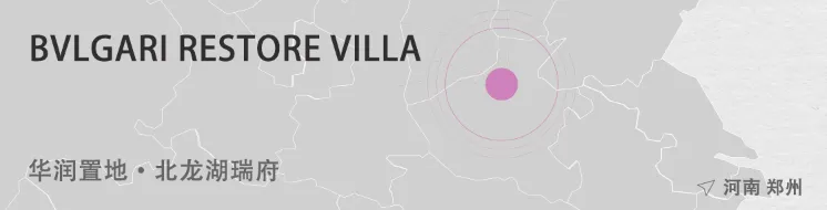 1737096264239627.jpg 1737096108890.jpg