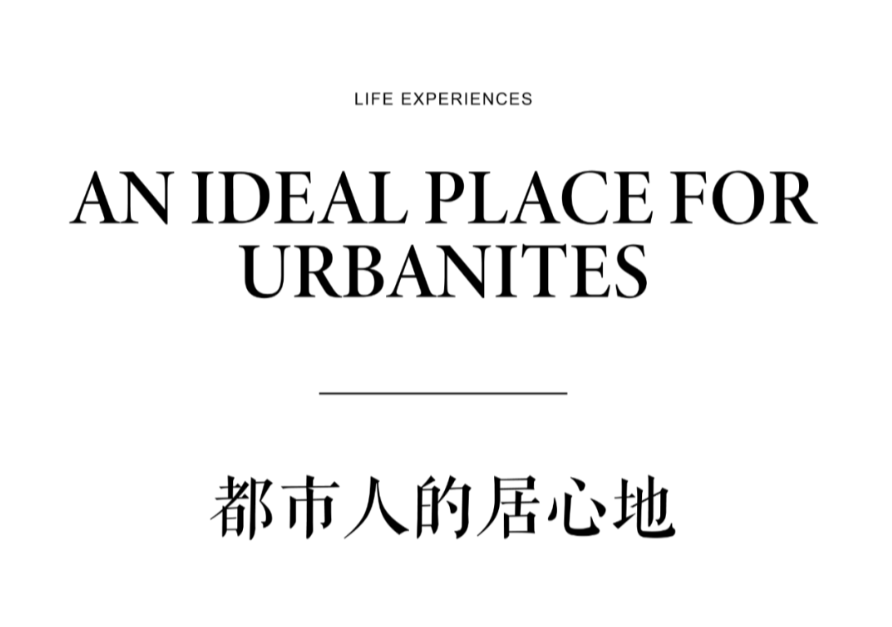 1737096280177572.jpg 1737096176474.jpg