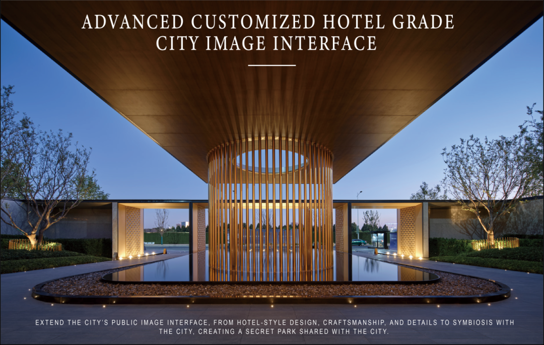 1737096468146093.jpg 1737096428085.jpg