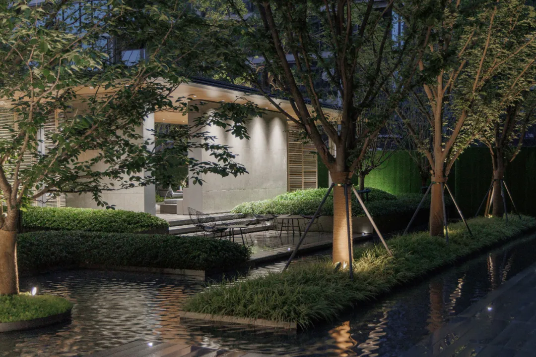 1737096640129699.jpg 1737096627420.jpg