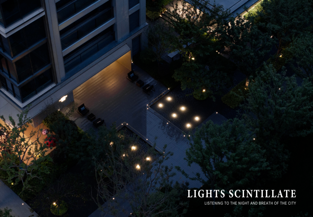 1737096729397215.jpg 1737096721532.jpg