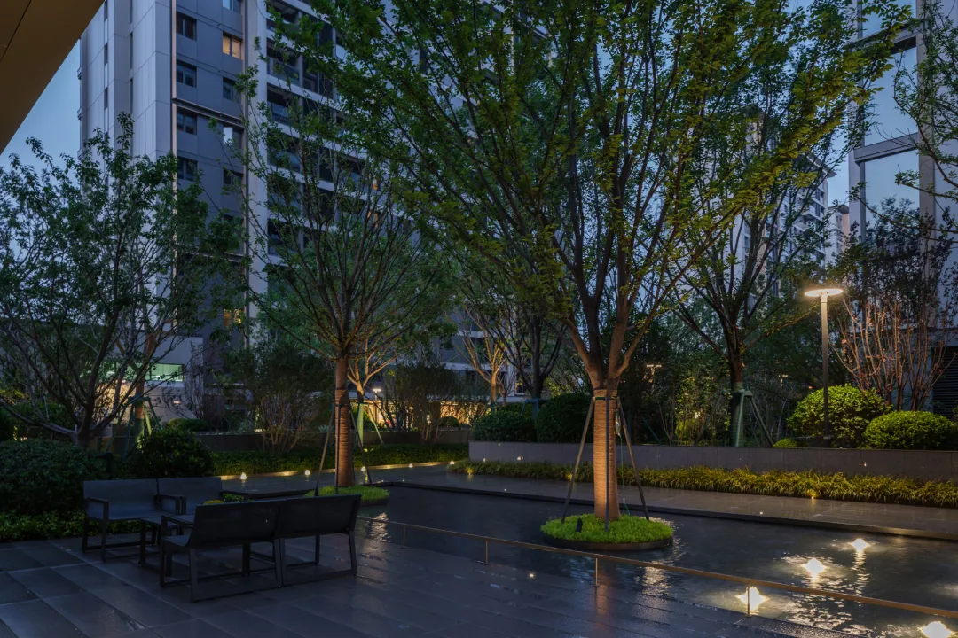 1737096733703443.jpg 1737096723828.jpg