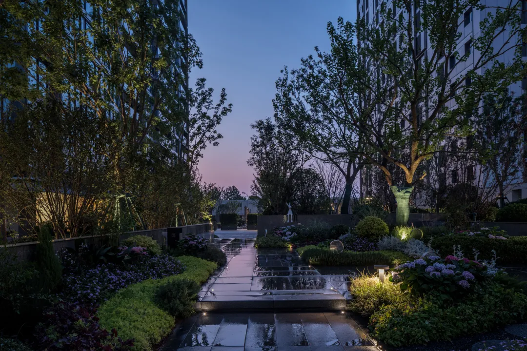 1737096764191832.jpg 1737096759846.jpg