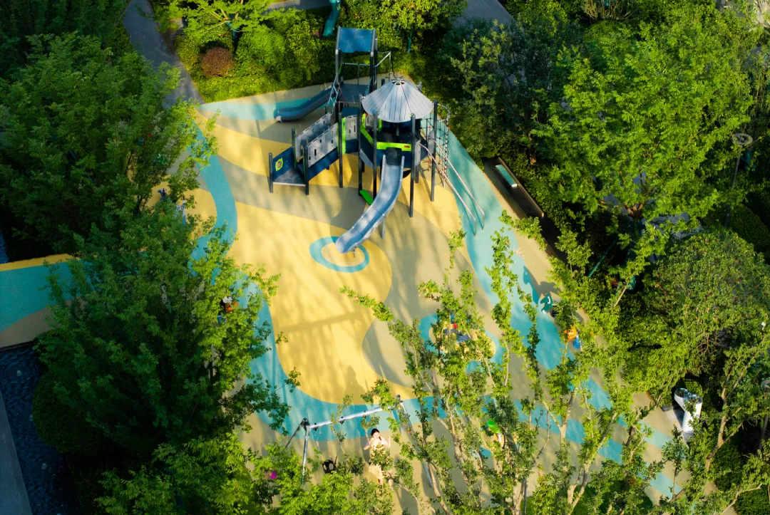 1737096815962504.jpg 1737096807361.jpg