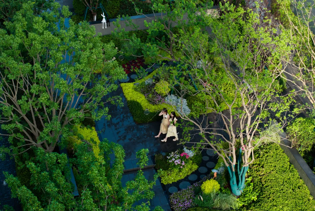 1737096819653179.jpg 1737096809713.jpg