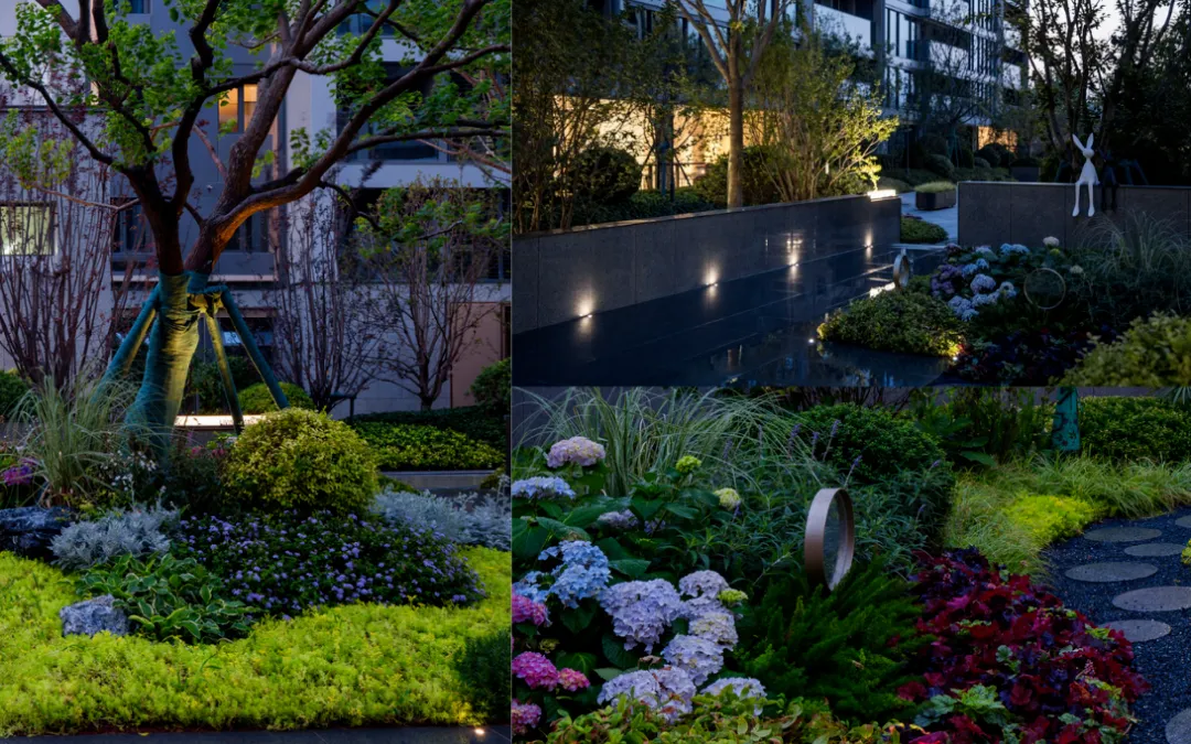 1737096919204661.jpg 1737096856098.jpg