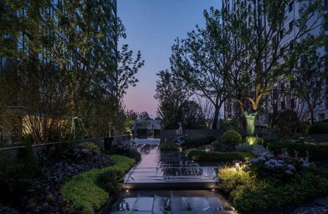 1737096923115930.jpg 1737096914132.jpg